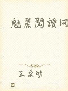 魅丽阅读网