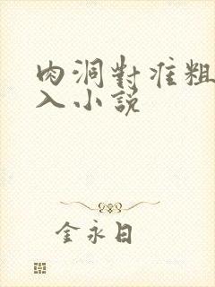 肉洞对准粗大坐入小说