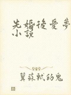 先婚后爱梦筱二小说