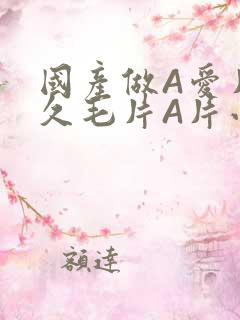 国产做A爱片久久毛片A片小说