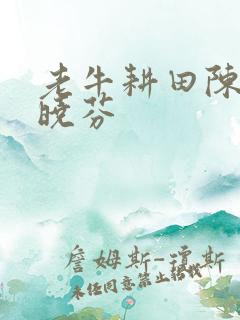 老牛耕田陈雪杨晓芬