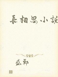 长相思小说原著