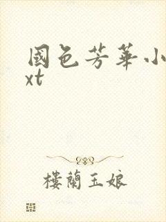 国色芳华小说txt