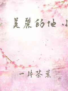 美丽的他 小说