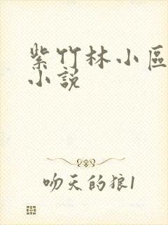 紫竹林小区快递小说