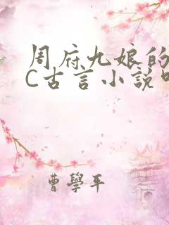 周府九娘的NPC古言小说叫什么