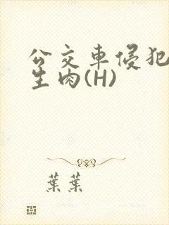 公交车侵犯小男生肉(H)