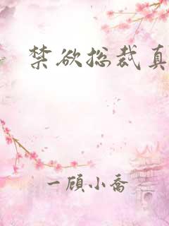 禁欲总裁真能干