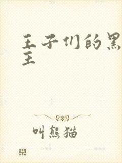 王子们的黑道公主