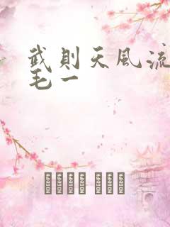 武则天风流艳情毛一