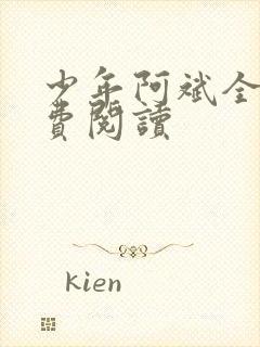 少年阿斌全文免费阅读