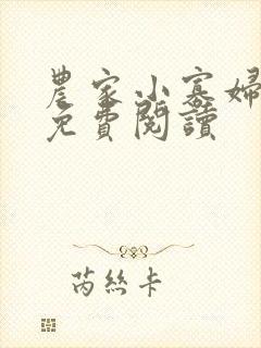 农家小寡妇全文免费阅读