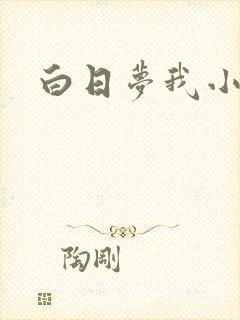 白日梦我小说