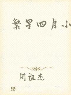 繁星四月小说