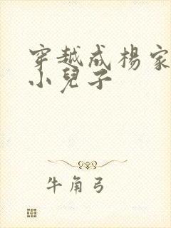 穿越成杨家将最小儿子