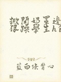 掀开奶罩边躁狠狠躁学生h的小说