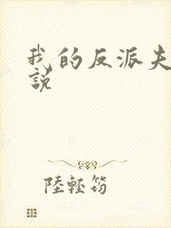 我的反派夫君小说