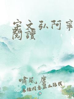 宇文弘阿宁全文阅读