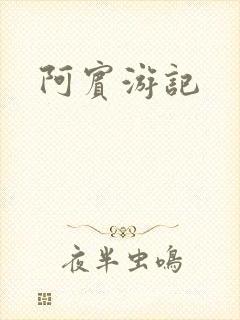 阿宾游记