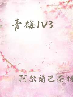 青梅1V3