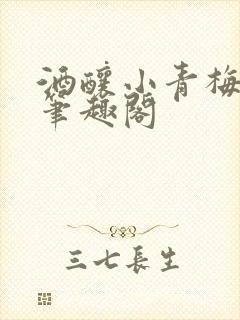 酒酿小青梅po笔趣阁