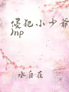 侵犯小少爷(H)np