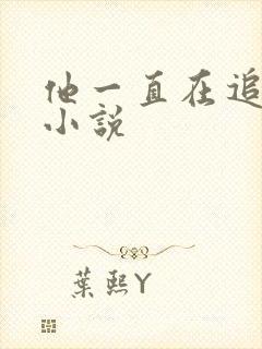 他一直在追初恋小说