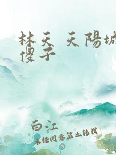 林天 天阳城 傻子