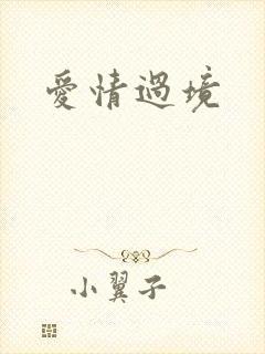 爱情过境