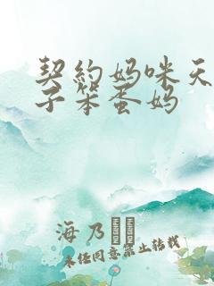 契约妈咪天才儿子笨蛋妈