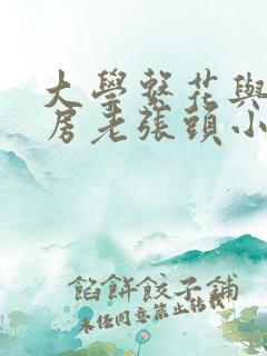 大学系花与锅炉房老张头小说