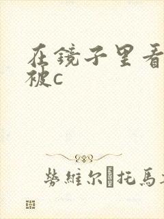 在镜子里看自己被c