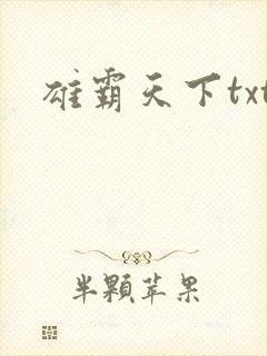 雄霸天下txt
