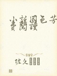 小说国色芳华免费阅读