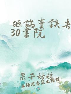 砸锅卖铁去上学30书院