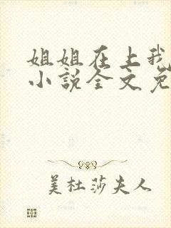 姐姐在上我在下小说全文免费阅读