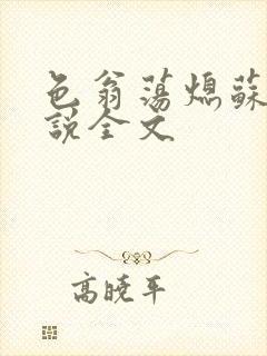 色翁荡熄苏钥小说全文