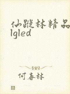仙踪林精品zzlgled