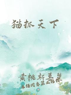 猫抓天下