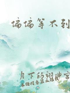 偏偏等不到小说