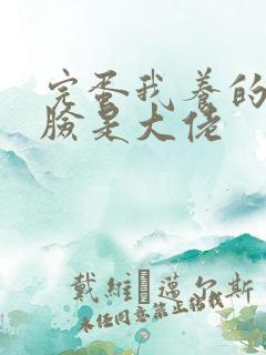 完蛋我养的小白脸是大佬