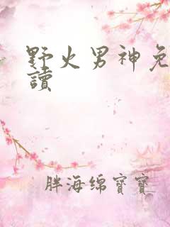 野火男神免费阅读