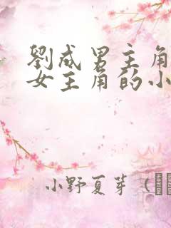 刘成男主角刘雪女主角的小说