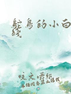 鸵鸟的小白脸路线