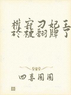 权宠刁妃王爷终于被翻牌了