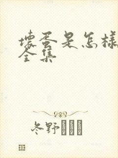 坏蛋是怎样炼成全集