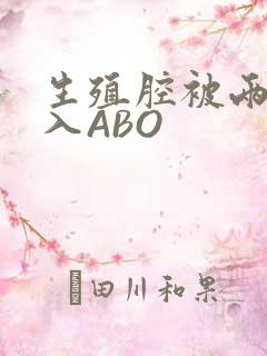 生殖腔被两根进入ABO