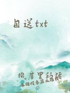 目送txt