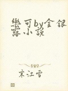 乐可by金银花露小说