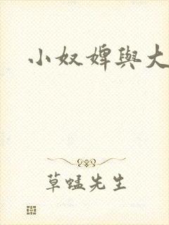 小奴婢与大少爷